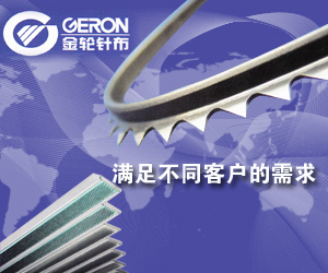 金輪科創股份有限公司 金輪科創股份有限公司