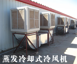 蒸發冷卻式冷風機