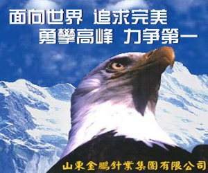 山東金鵬針業集團有限公司