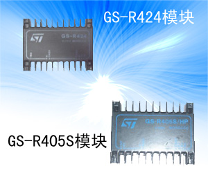 GS-R424模塊;GS-R405S模塊