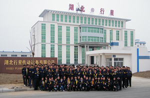 湖北行星傳動設備有限公司