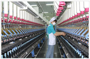 天虹紡織集團(tuán)有限公司