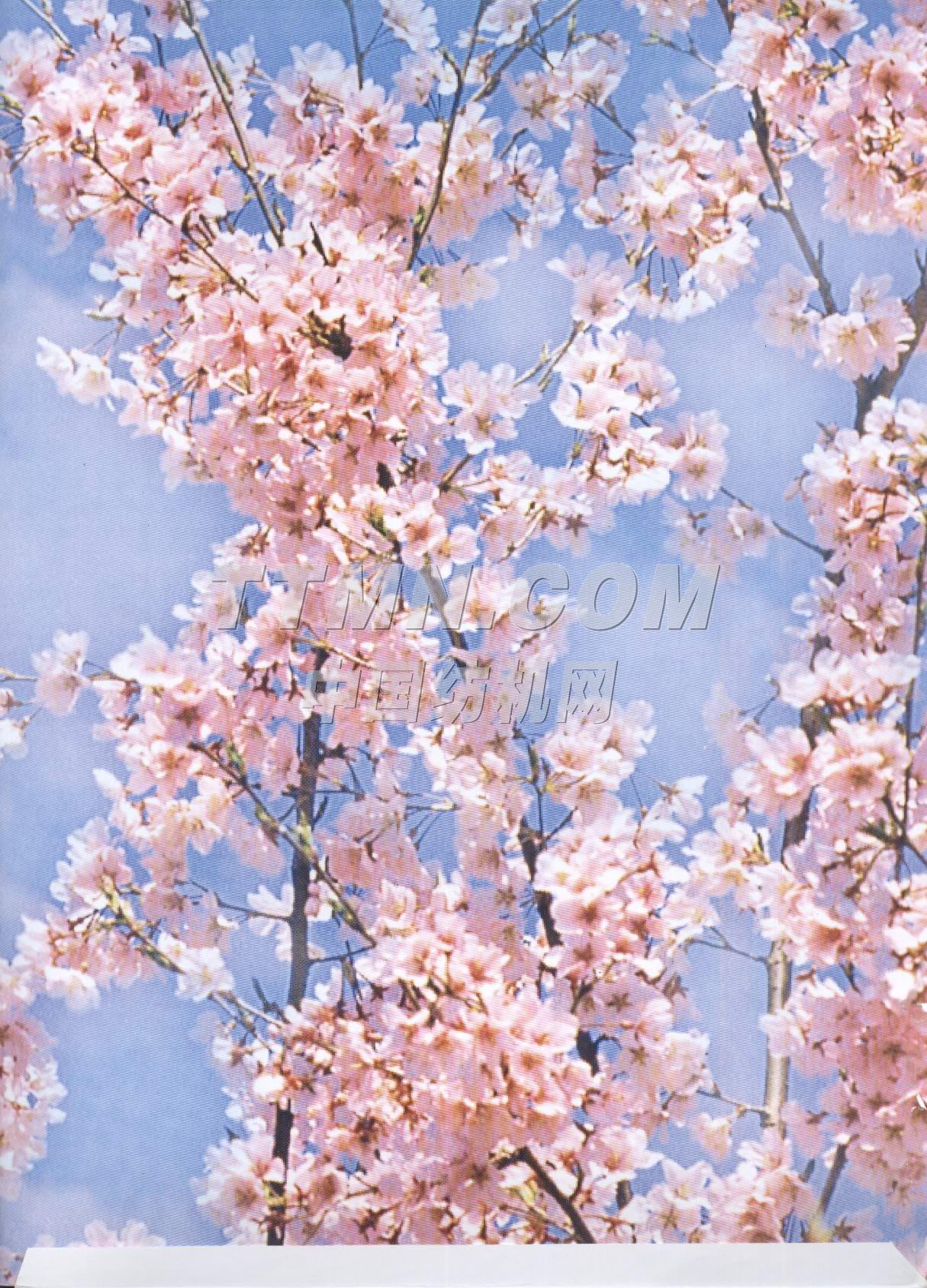 江蘇通州市紡織刺軸廠